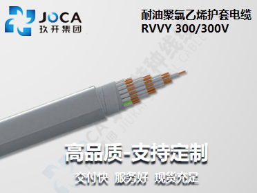 RVVY 300/300V