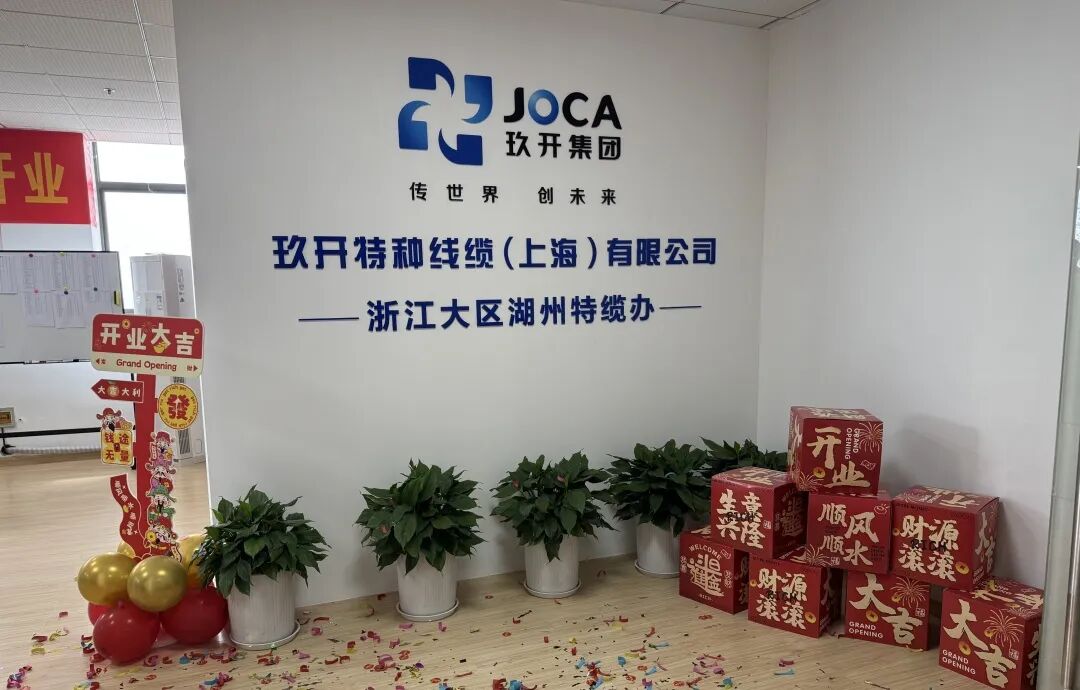 J9直营集团咸宁特办缆成立